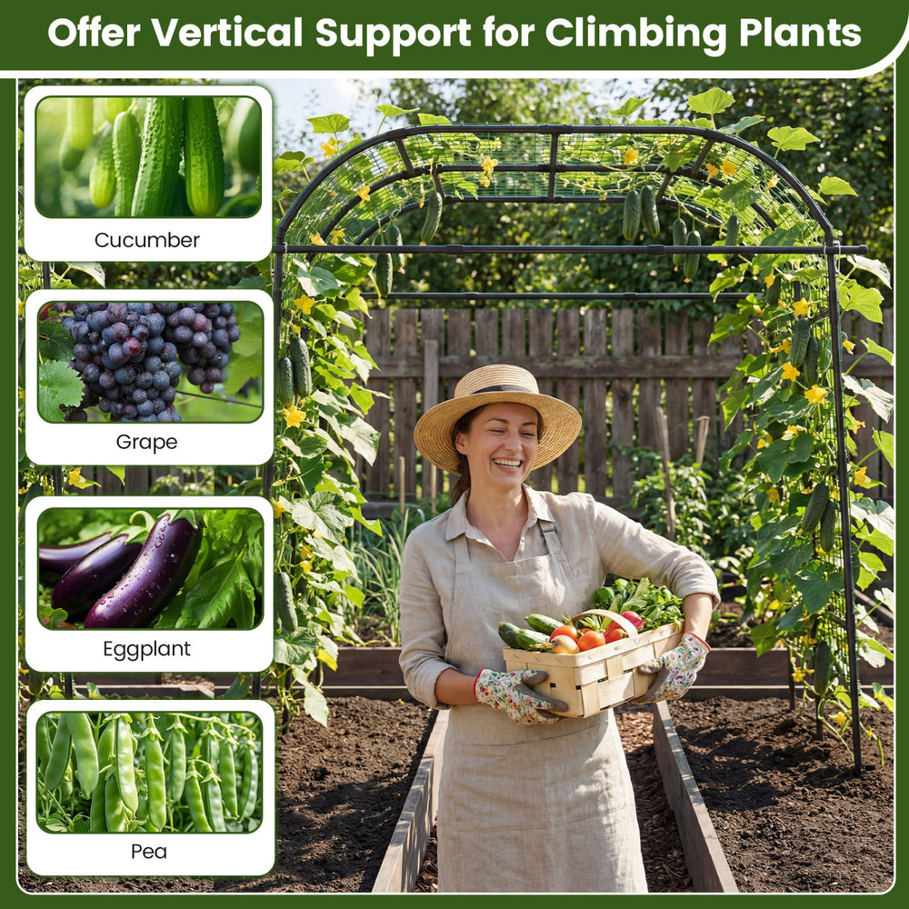 7.5 FT tall black metal garden arch trellis providing vertical support for climbing plants, ideal for healthy growth.
