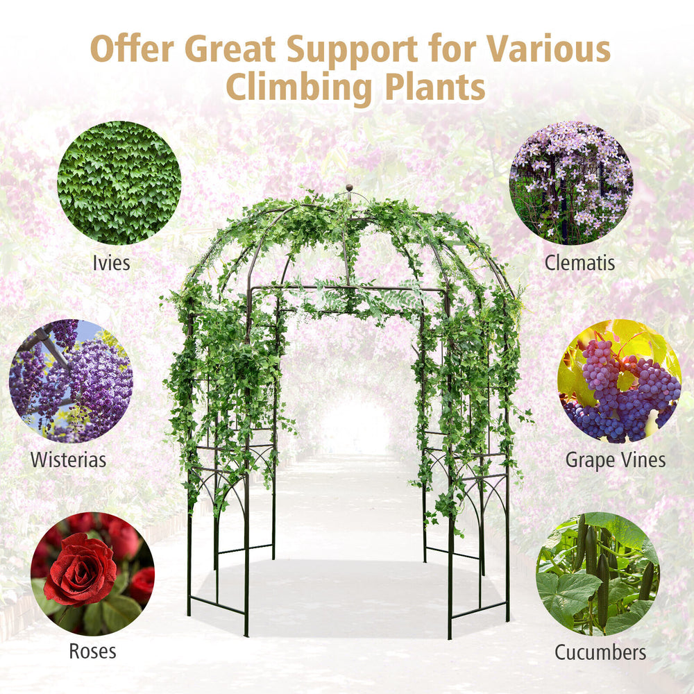 Birdcage shape garden arbor in vintage bronze, ideal for climbing plants and outdoor decorations, featuring a sturdy.