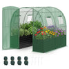 Walk-in greenhouse featuring a spacious design with a sturdy galvanized frame, ideal for organizing vegetables and flowers.