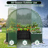 Walk-in greenhouse with heavy-duty PE cover, featuring large plant bed and sun, drizzle, and snow protection for year-round use.