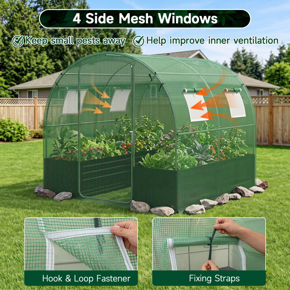Walk-in greenhouse with heavy-duty PE cover, 4 mesh windows for ventilation, and sturdy galvanized pipe frame for stability.