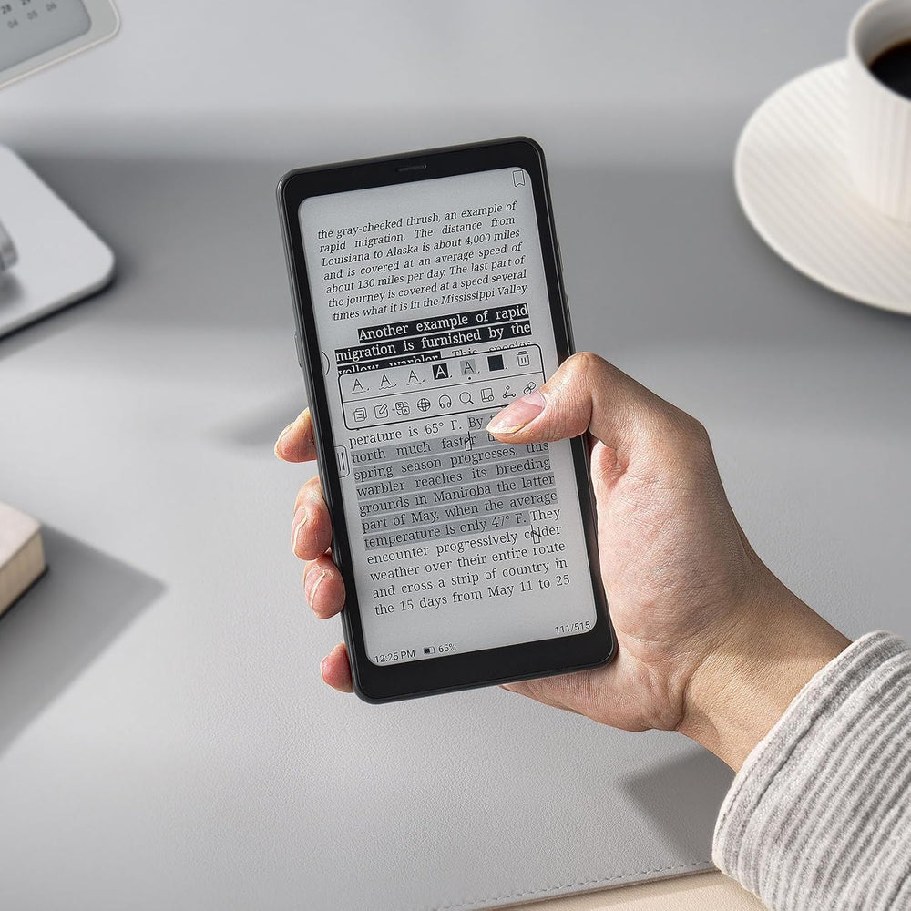 Boox Palma 6.13" Mobile ePaper Device 128 GB New – FactoryPure