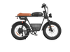 isinwheel R6 Pro Electric Dirt Ebike