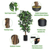 6 feet artificial Ficus silk tree with realistic leaves and cement base, ideal for home or office decor.