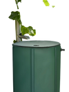 60 Gallon Portable Collapsible Rain Barrel Water Collector for Watering - Gallery View 1 of 10