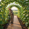 A gardener waters plants along an 8-foot brown outdoor pathway boardwalk in a lush cucumber archway.