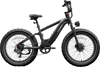 Roma All-Terrain Ebike
