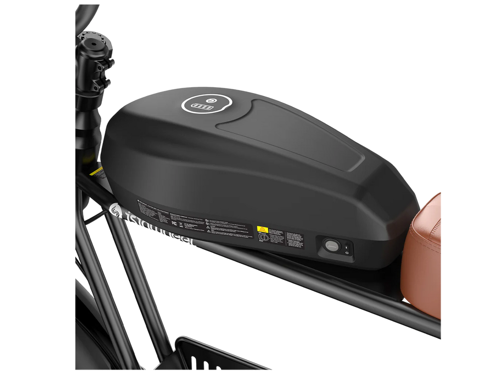 isinwheel R6 Pro Electric Dirt Ebike