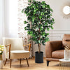 6 feet artificial ficus silk tree with realistic leaves in a cement pot, ideal for home or office decor.