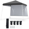 Gray 9 ft x 9 ft pop-up canopy tent with sidewall, ground stakes, wind ropes, and carry bag for outdoor parties.