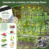 A-frame garden cucumber trellis with netting, black, for climbing plants like flowers and vegetables, offering strong.