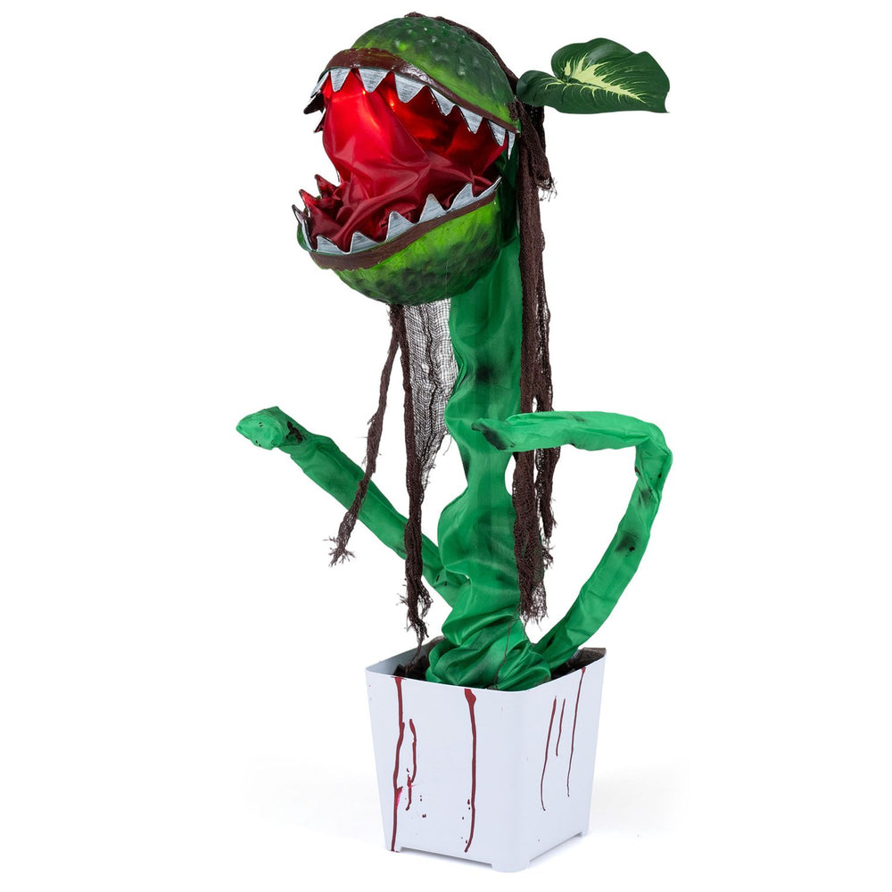 Animated Halloween man-eater plant prop featuring a vibrant design, ominous chomping motions, and sound activation for fright.