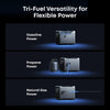 Anker Solix E10 Infinite Backup Kit graphic - tri-fuel versatility