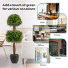 40-inch artificial boxwood topiary ball tree with double ball shape, realistic leaves, and stable weighted base for.