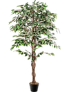 Artificial Ficus Tree Tall Faux Indoor Plant with 1008 Leaves Nursery Pot and Dried Moss