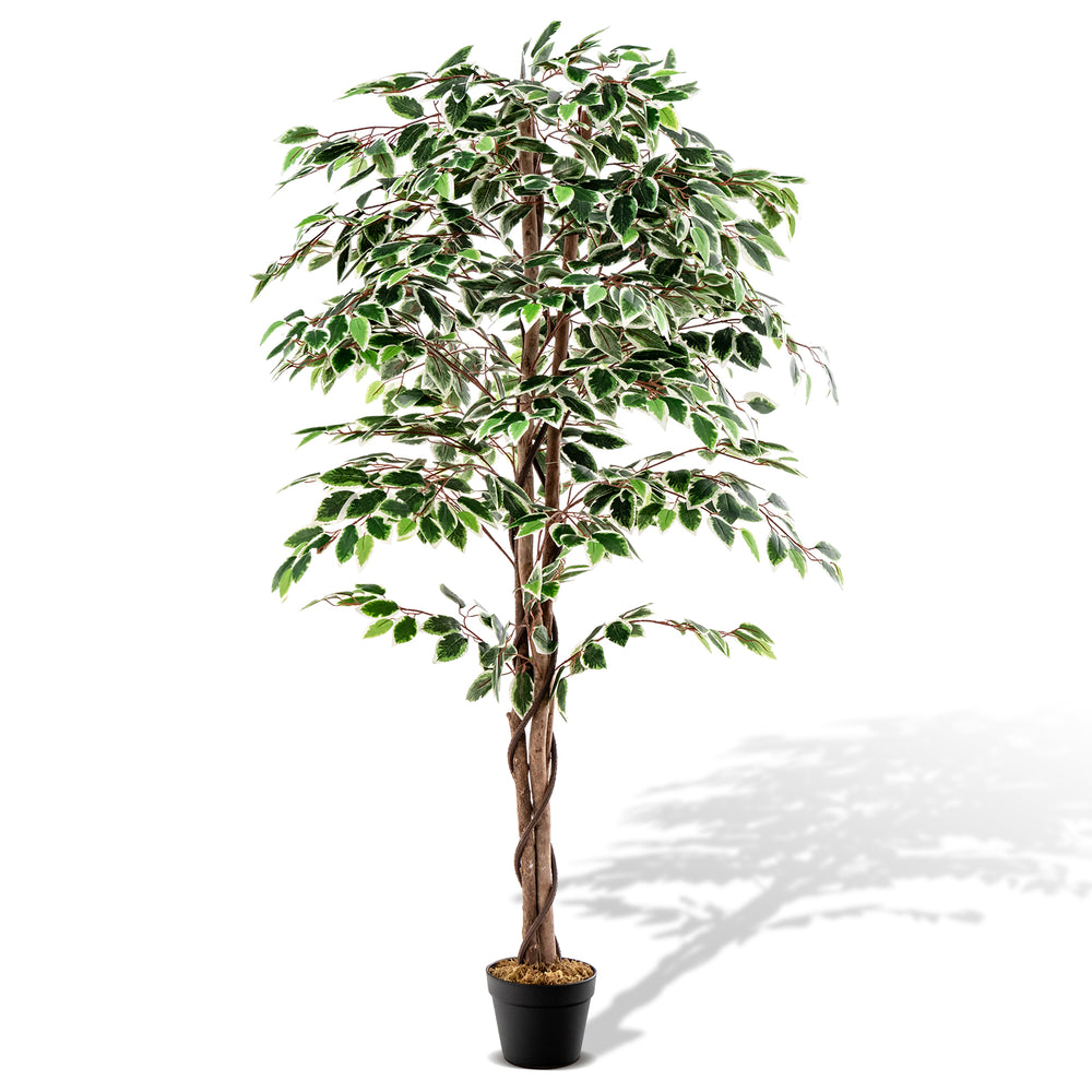 Tall artificial ficus tree with 1008 leaves, solid wood trunk, and dried moss, perfect for home or office decor.