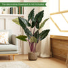 Artificial Rainbow Taro Tree with 11 large faux leaves in a weighted planter, perfect for home or office decor.