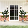 Artificial Rainbow Taro Tree with 11 large leaves in a weighted planter, perfect for home or office decoration.