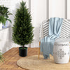 3 feet artificial topiary cedar tree in a cement plastic pot, featuring vibrant faux moss for easy indoor decor.