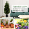 3 feet artificial topiary cedar tree with dense cypress leaves and cement plastic pot, perfect for low-maintenance.