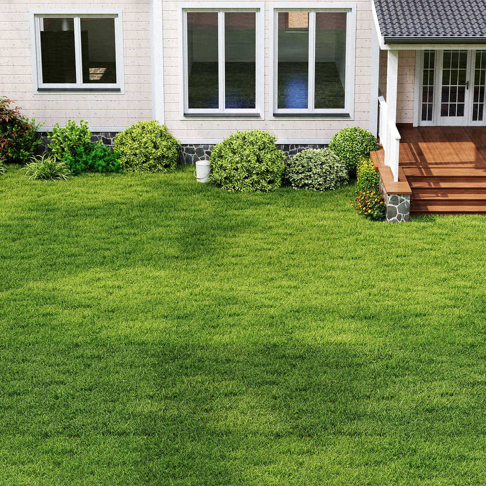 Indoor Outdoor Synthetic Turf Mat with Drainage Holes-XL - Gallery View 1 of 10