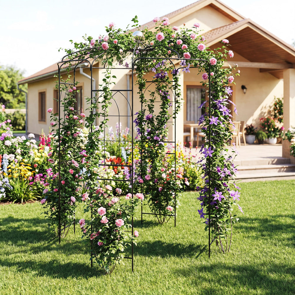 Birdcage shape gazebo for climbing plants, featuring a durable metal frame and elegant design, ideal for weddings and.