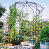 Birdcage shape gazebo made of galvanized metal for climbing plants and wedding decoration, featuring elegant patterns.