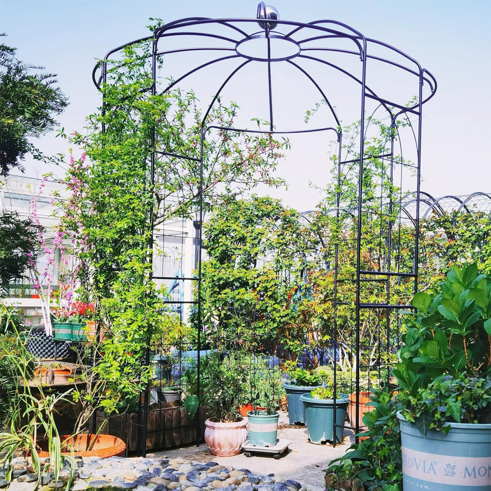 Birdcage shape gazebo made of galvanized metal for climbing plants and wedding decoration, featuring elegant patterns.