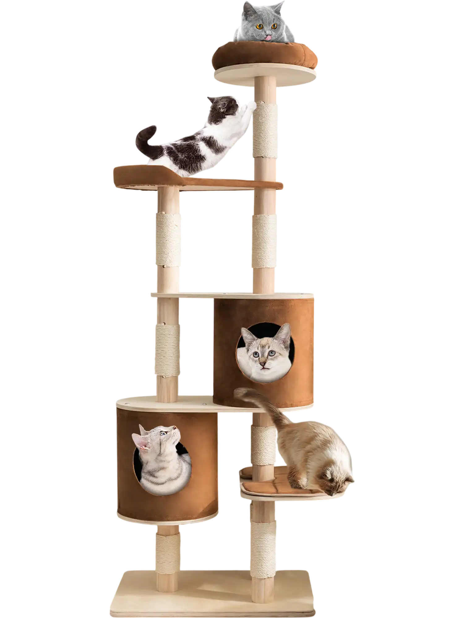 Costway 6-Tier Wooden Cat Tree w/ 2 Removable Condos Platforms Perch Brown 62913745 New