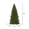 Vickerman Oregon Fir Artificial Christmas Tree 12' x 78" Warm White Dura-Lit LEDs New