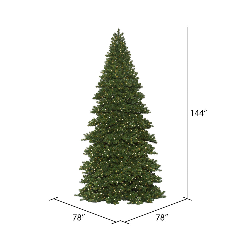 Vickerman Oregon Fir Artificial Christmas Tree 12' x 78" Warm White Dura-Lit LEDs New