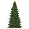 Vickerman Oregon Fir Artificial Christmas Tree 14' x 84" Warm White Dura-Lit LEDs New