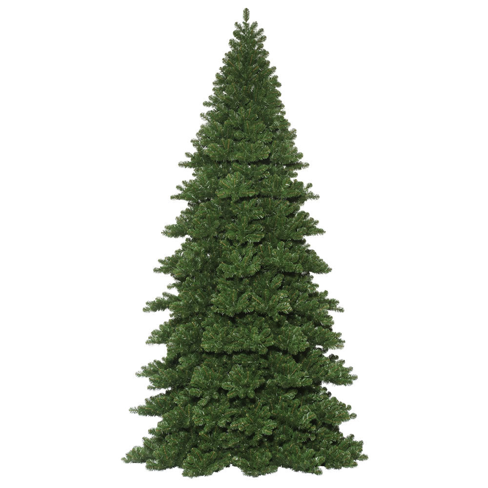 Vickerman Oregon Fir Artificial Christmas Tree 16' x 90" Warm White Dura-Lit LEDs New