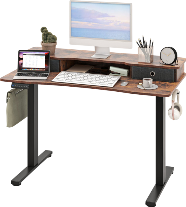 Costway Electric Standing Desk 48