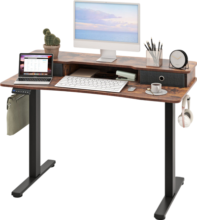 Costway Electric Standing Desk 48