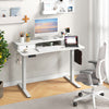 Costway Electric Standing Desk 48" x 24" Height Adjustable with 2 Drawers New