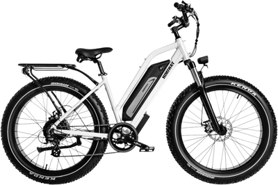 Himiway Cruiser D3 ST Electric Bicycle 48V 750W 20 MPH Step-Thru 26