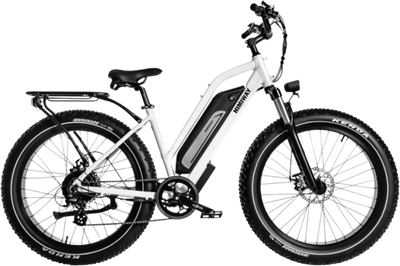 Himiway Cruiser D3 ST Electric Bicycle 48V 750W 20 MPH Step Himiway Cruiser D3 ST Electric Bicycle 48V 750W 20 MPH Step