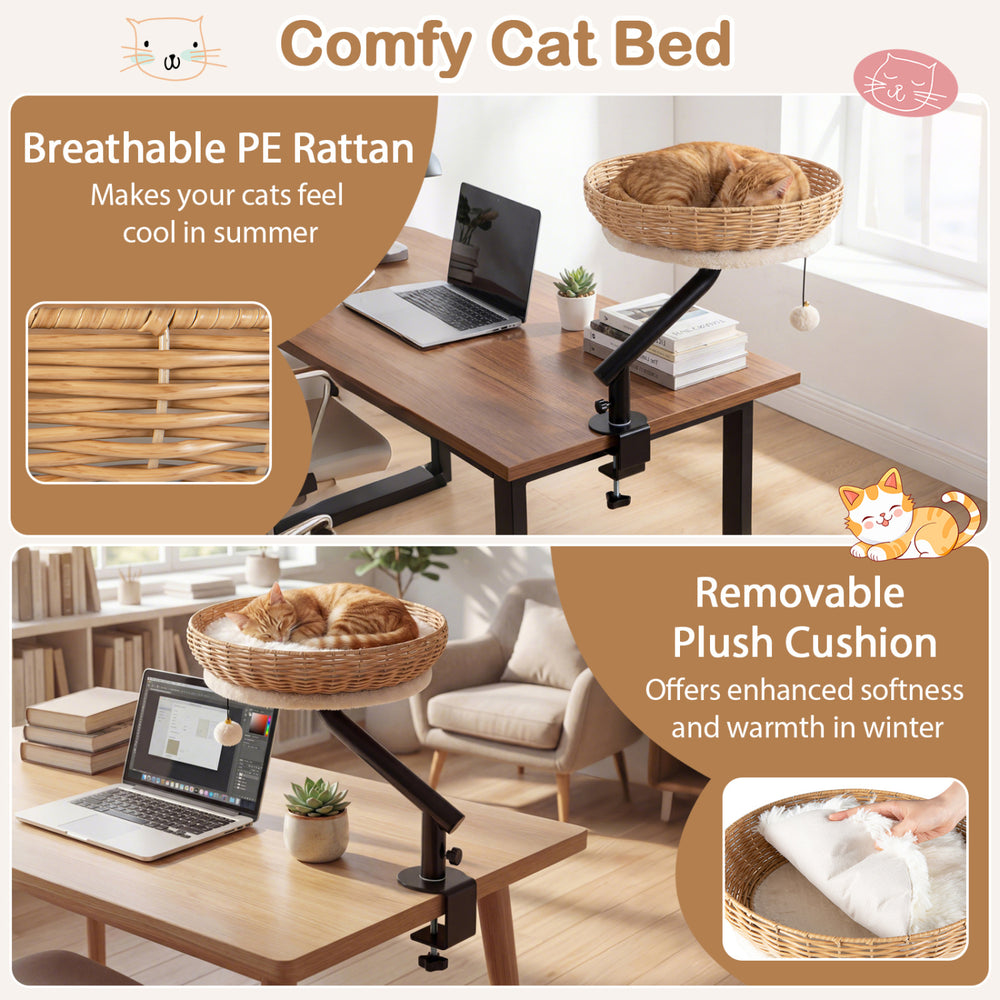 Comfy cat desk bed with removable plush cushion, made of breathable PE rattan, perfect for indoor cats.