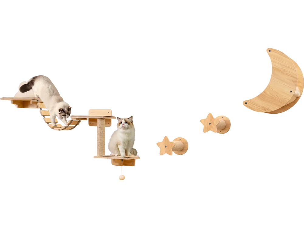 Cat wall furniture set featuring shelves, hammock, and climbing steps for playful kittens in natural wood finish.