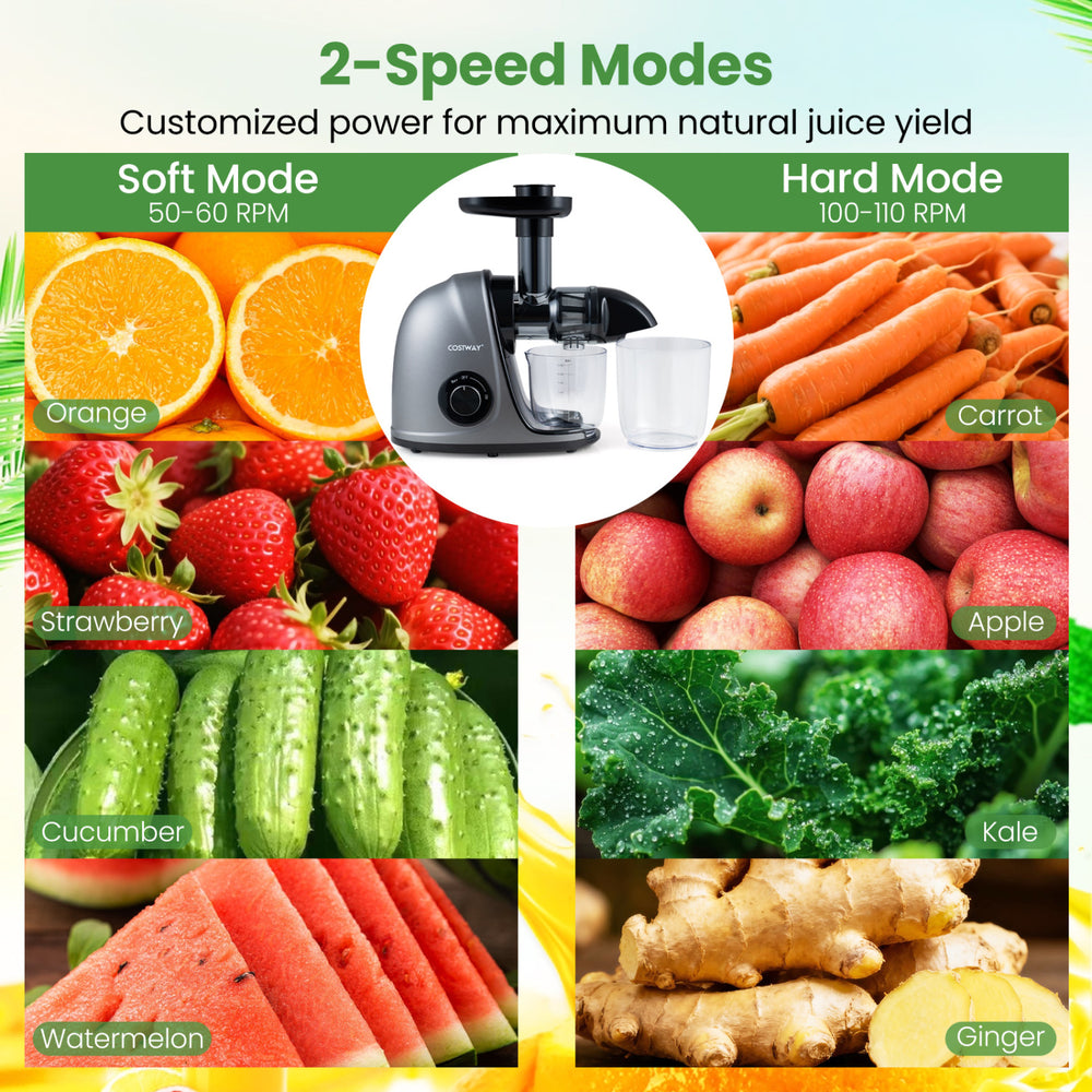 Cold press juicer machine in silver with 2-speed modes for optimal juice yield, featuring a 24 oz juice jug and 34 oz.