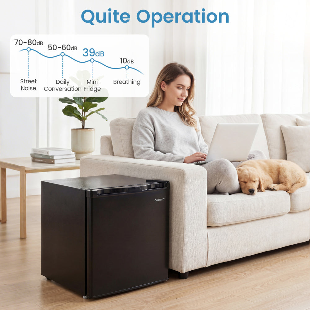 Compact mini fridge in black with adjustable thermostat, whisper-quiet 39 dB operation, perfect for bedrooms and.
