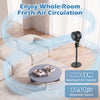 Compact oscillating standing fan in black with 70° oscillation and 90° tilt for home or office use, providing powerful.