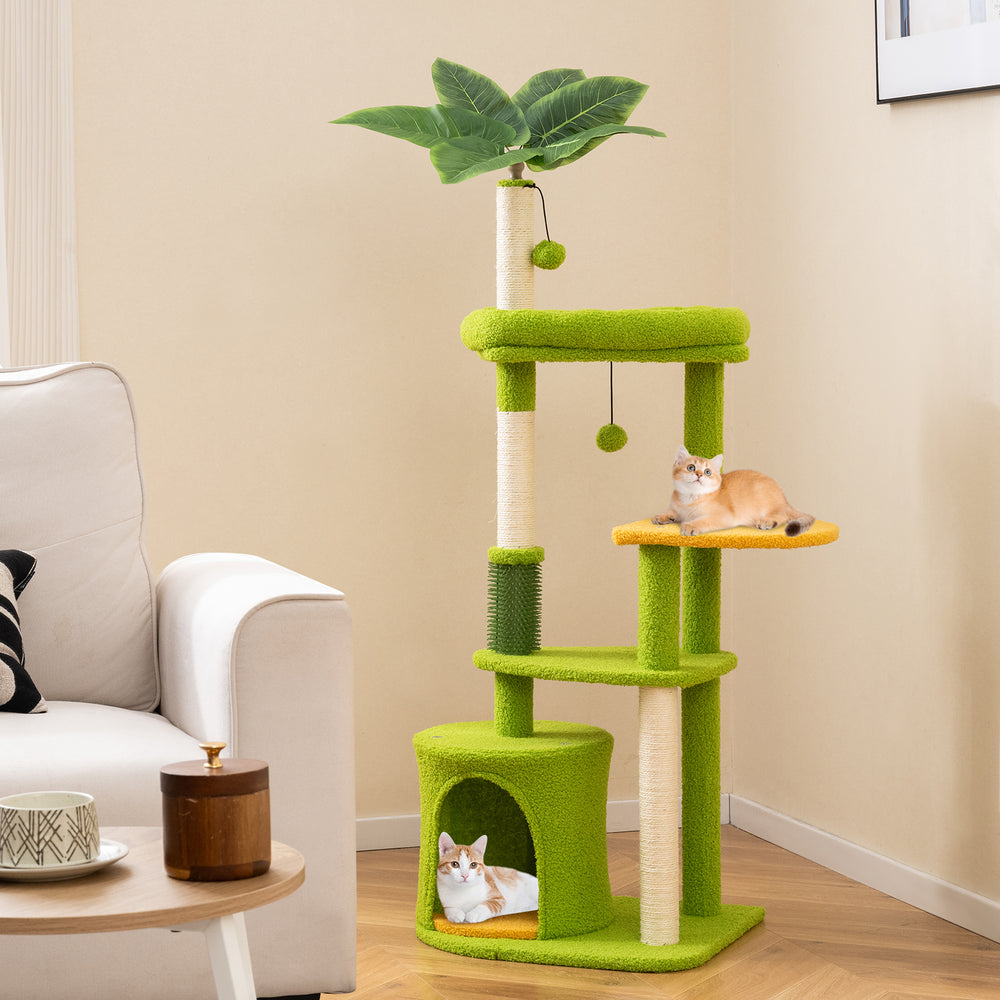 Multi-level green cat tree with plush surfaces, sisal scratching posts, and two platforms for adult cats to play and.