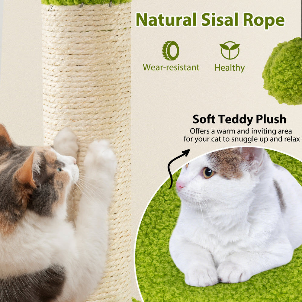 Multi-level green cat tree featuring natural sisal rope and soft teddy plush for scratching and cozy relaxation.