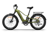 Himiway D5 2.0 Electric Bike 70 Mile Range 28 MPH Step Over 48V 750W New