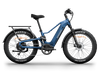 best electric bike for adults - Himiway D5 2.0
