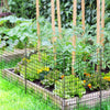 Decorative black garden fence with 5 panels and stakes, ideal for flower beds and keeping pets out of plants.