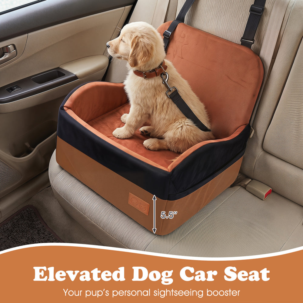 Elevated dog car seat with adjustable strap, orthopedic foam, and removable cushion for secure and cozy travel.