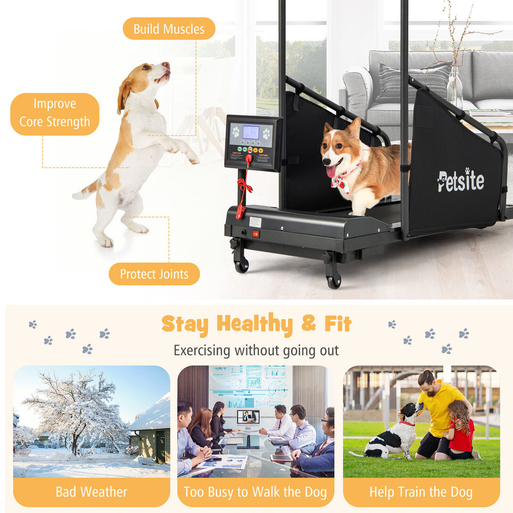 Costway Pet Treadmill Indoor Exercise Equipment with Remote Control New